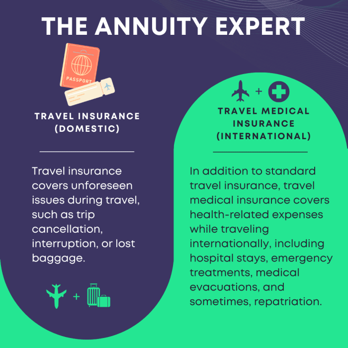 Is travel insurance necessary for domestic trips?